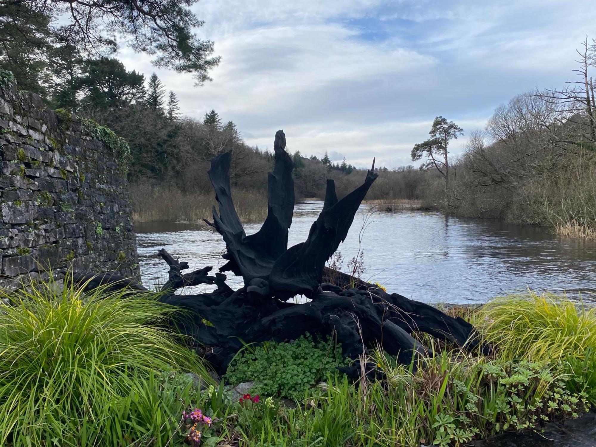 Salmon Weir Lodge Cong Exteriör bild